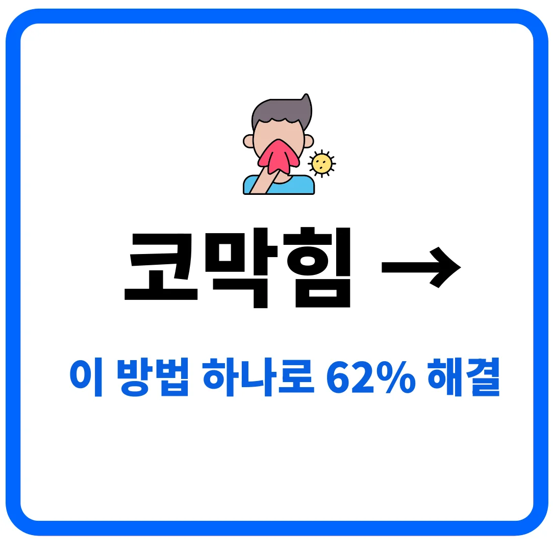 코막힘·재채기 즉시 잡는 실전 극복법 총정리