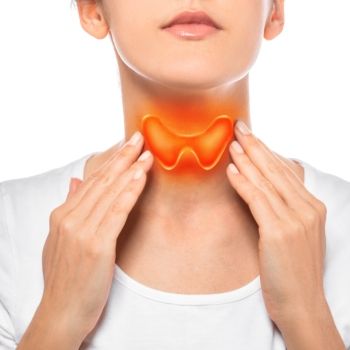 갑상선 위치