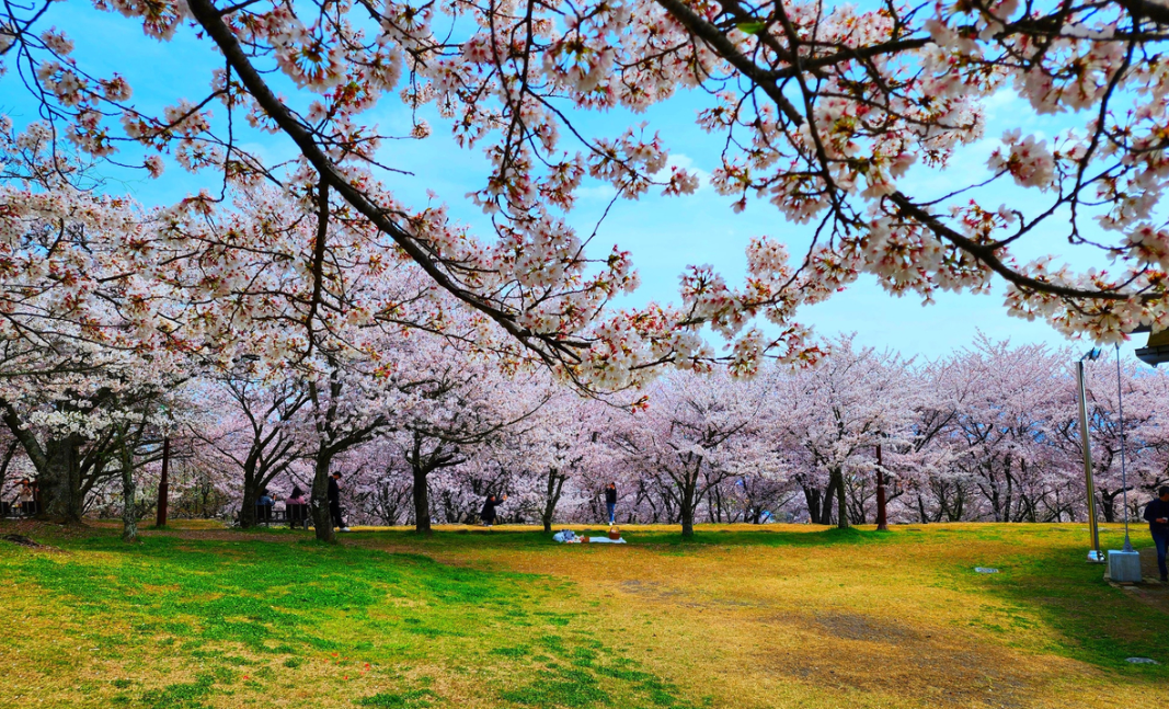 사천시 가볼만한곳 베스트10