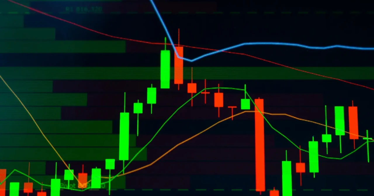 상호관세 보편관세 차이