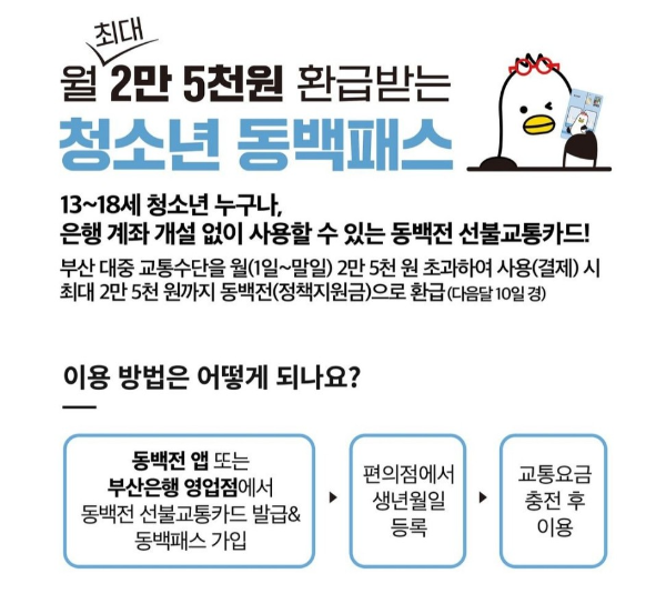 청소년 동백패스 신청 발급방법 이용방법