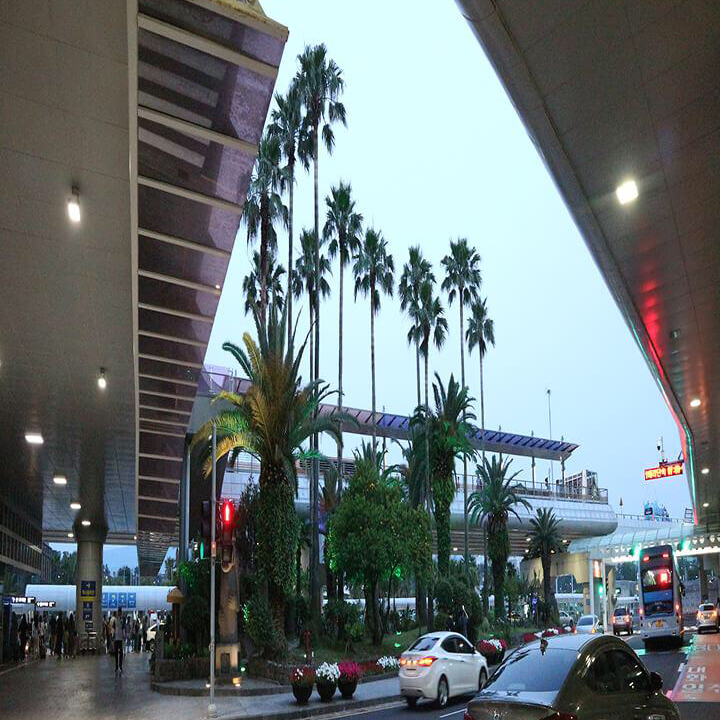 제주도항공입구