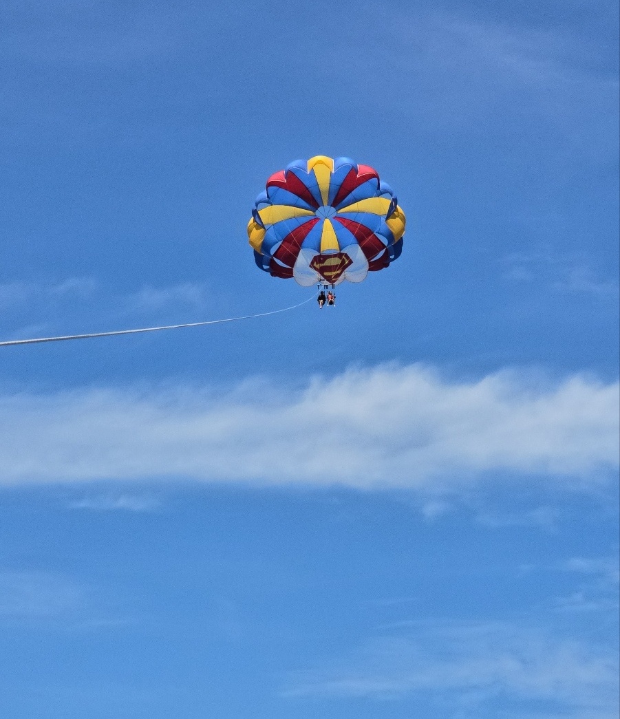 패러세일링 이미지