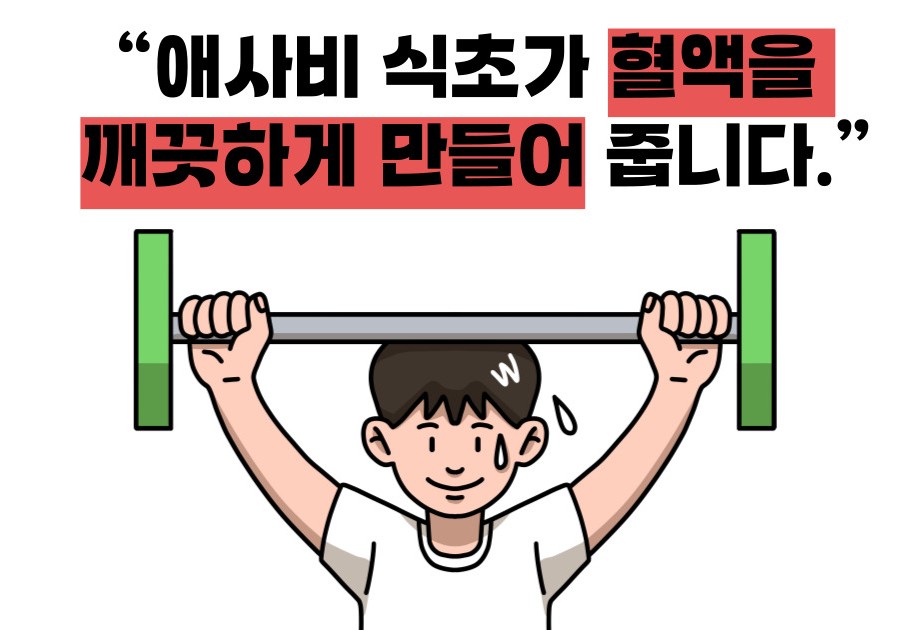 애사비 식초 효능