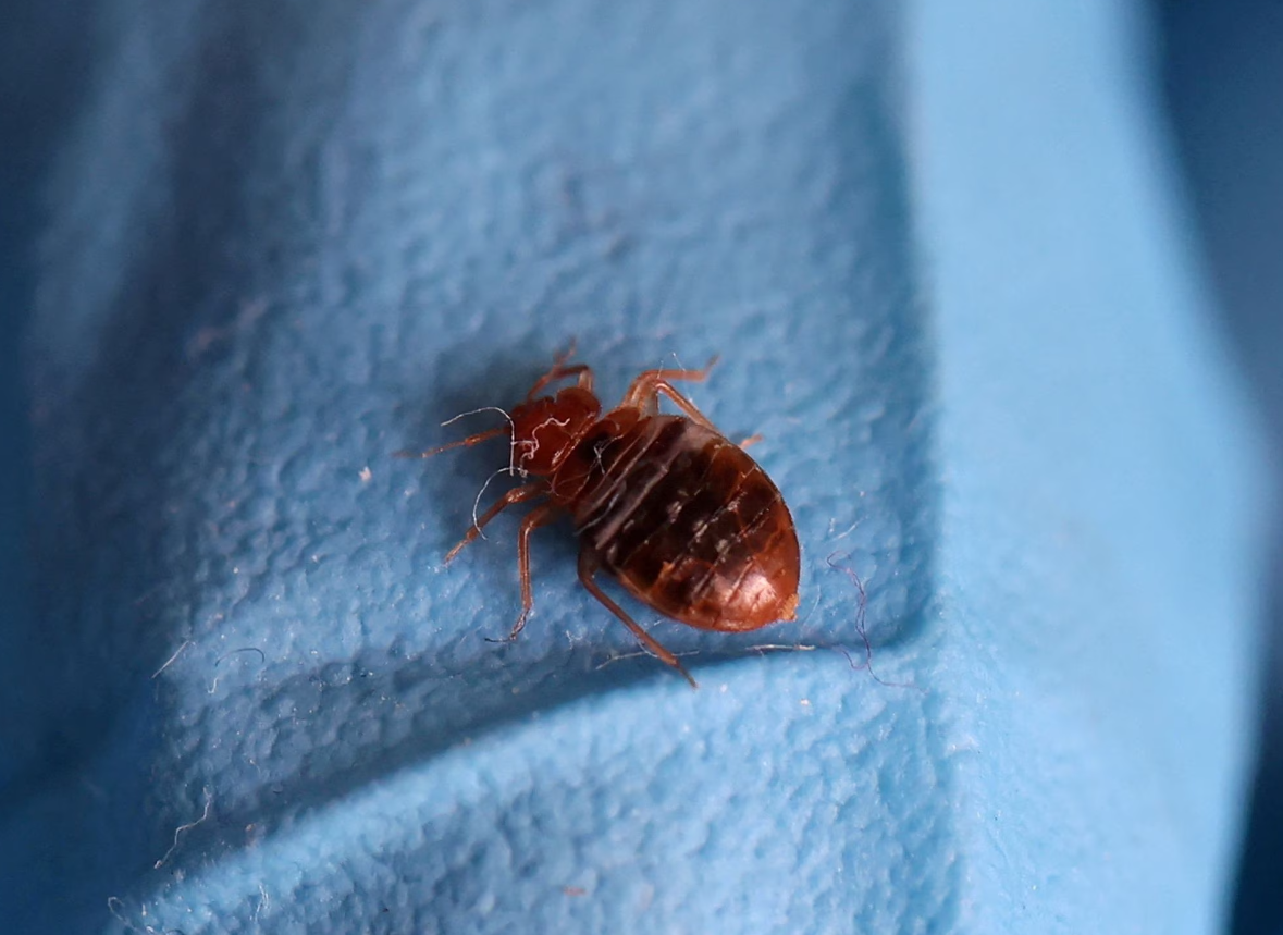 23.11.07 (화) 장중 테마동향 및 특징주 정리 Feat. 상승률 TOP30