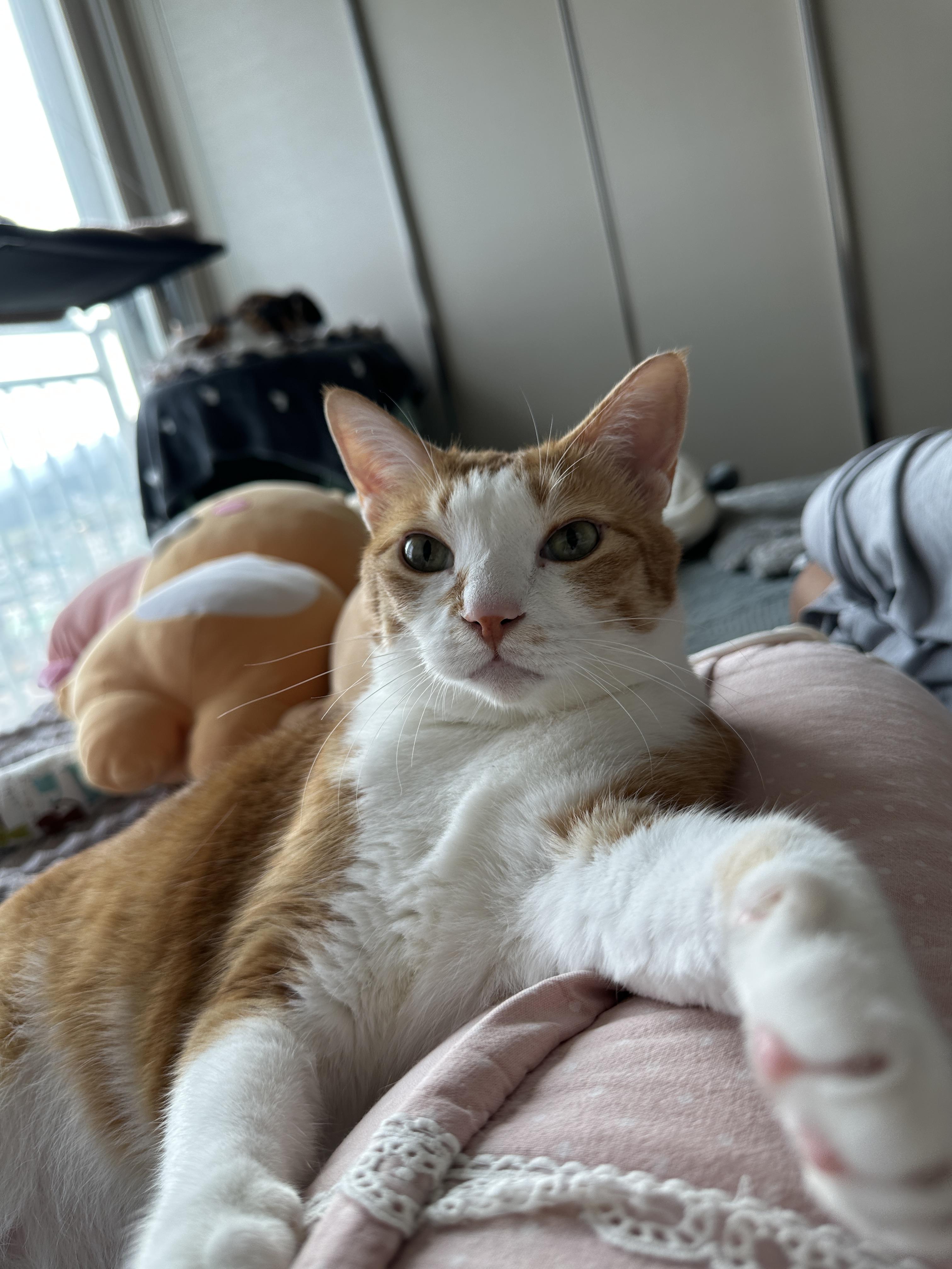 다시_엄마한테_아이컨택_쏘는중_3