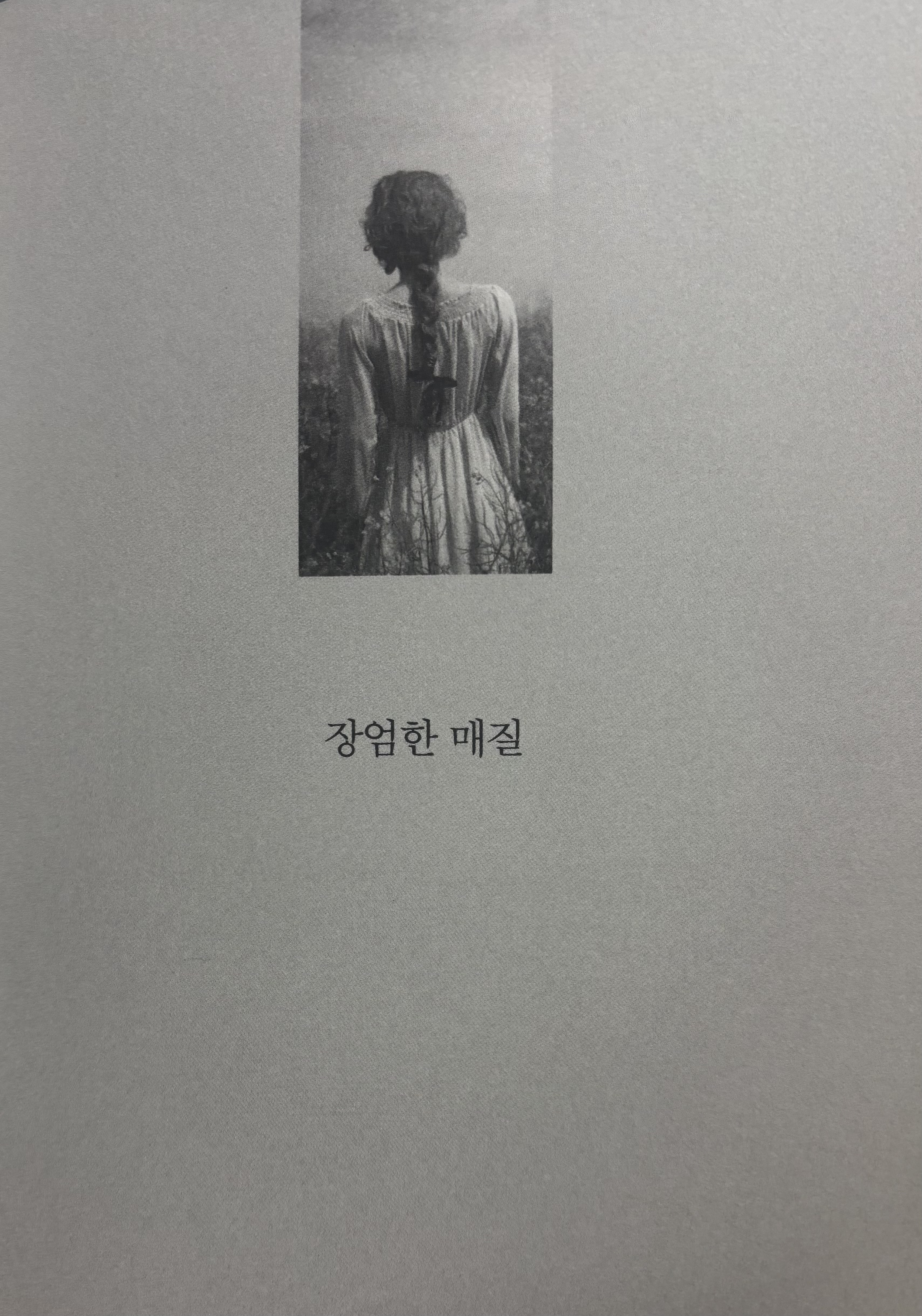 앨리스 먼로 단편소설 「장엄한 매질」의 제목이 인쇄된 책의 시작 페이지.