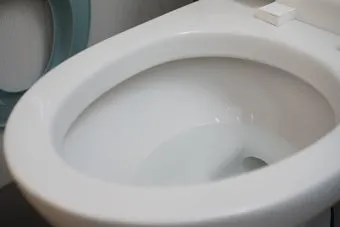 변기 물때 구연산 분무 후브러시로 황변제거 요령_13