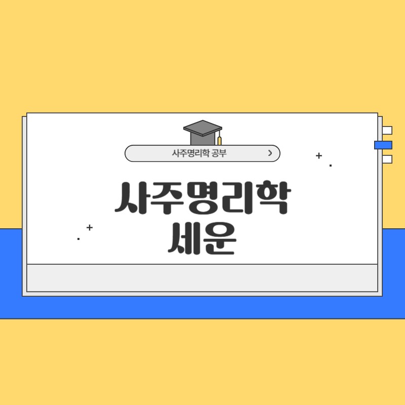 사주명리학 세운
