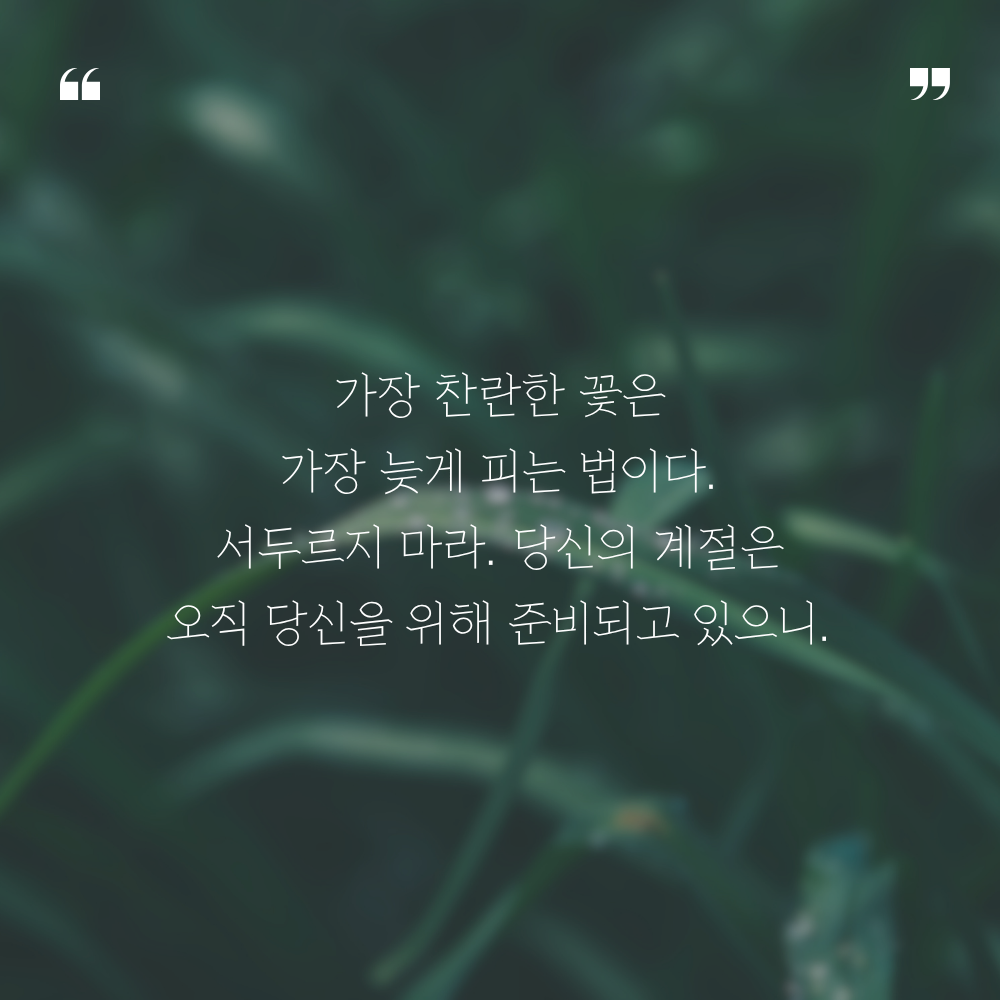 짧은 명언 인생 조언 글귀 밤에 잠자기 전 보기 좋은 문구 이미지
