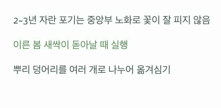 포기나누기로 정원을 넓히는 즐거움