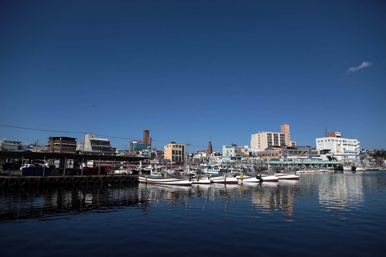 강원도 바다사진