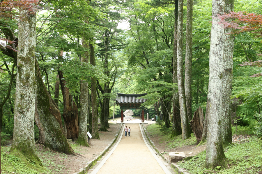 국립공원 대표 경관