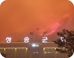 경북 청송 산불 재해 이미지
