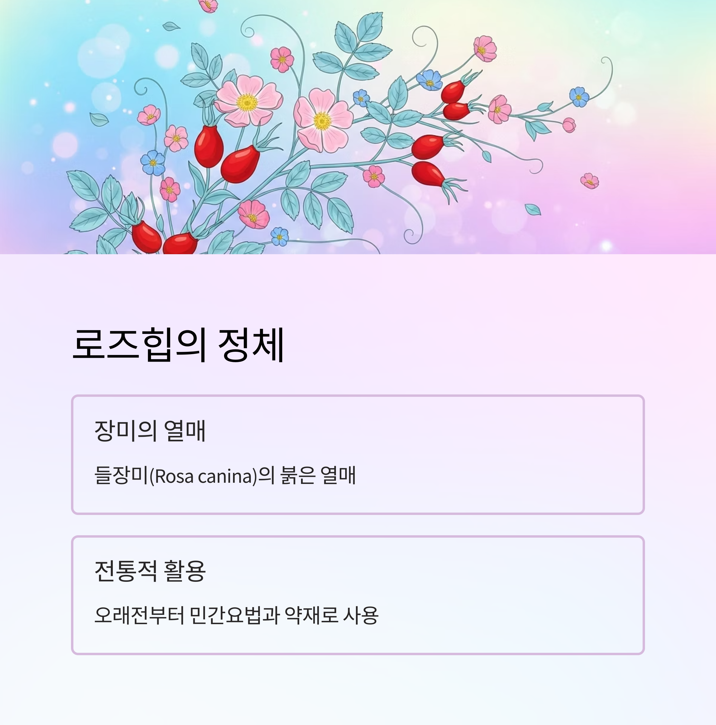 로즈힙의 정체
