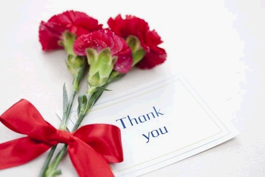 스승의날-카네이션-문구