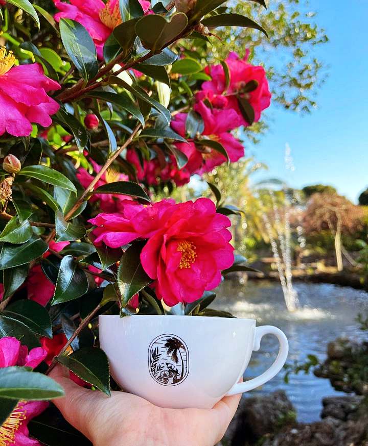 생방송오늘저녁 제주 인생샷 핫스팟 크림 쇼콜라 커피 디저트 3,500평 동백 가드닝 베이커리 카페 맛집 추천