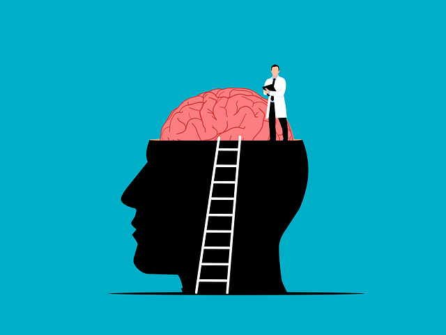 뇌를 바라보며 정리하는 모습으로 심리검사를 표현하는 이미지