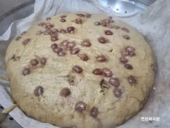 보리빵 통밀빵 간편하게 만드는 황금레시피_26