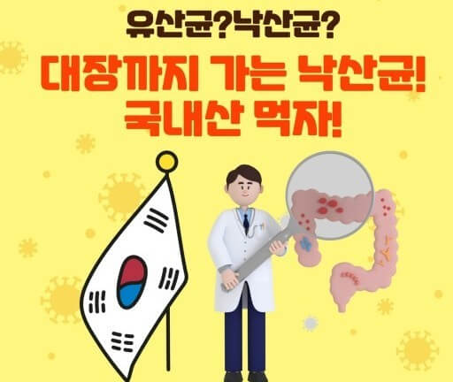 대장까지 살아가는 낙산균