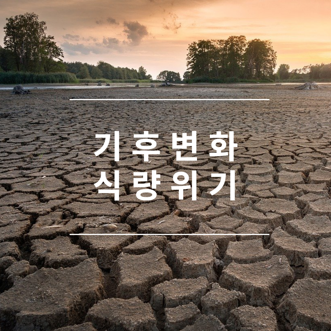기후변화 식량위기