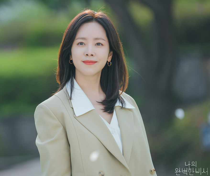 나의 완벽한 비서