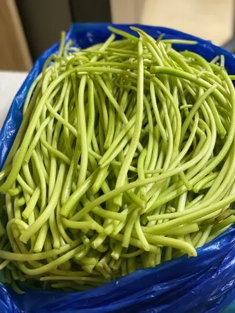 고구마순 볶음 레시피 꿀팁 레시피_8