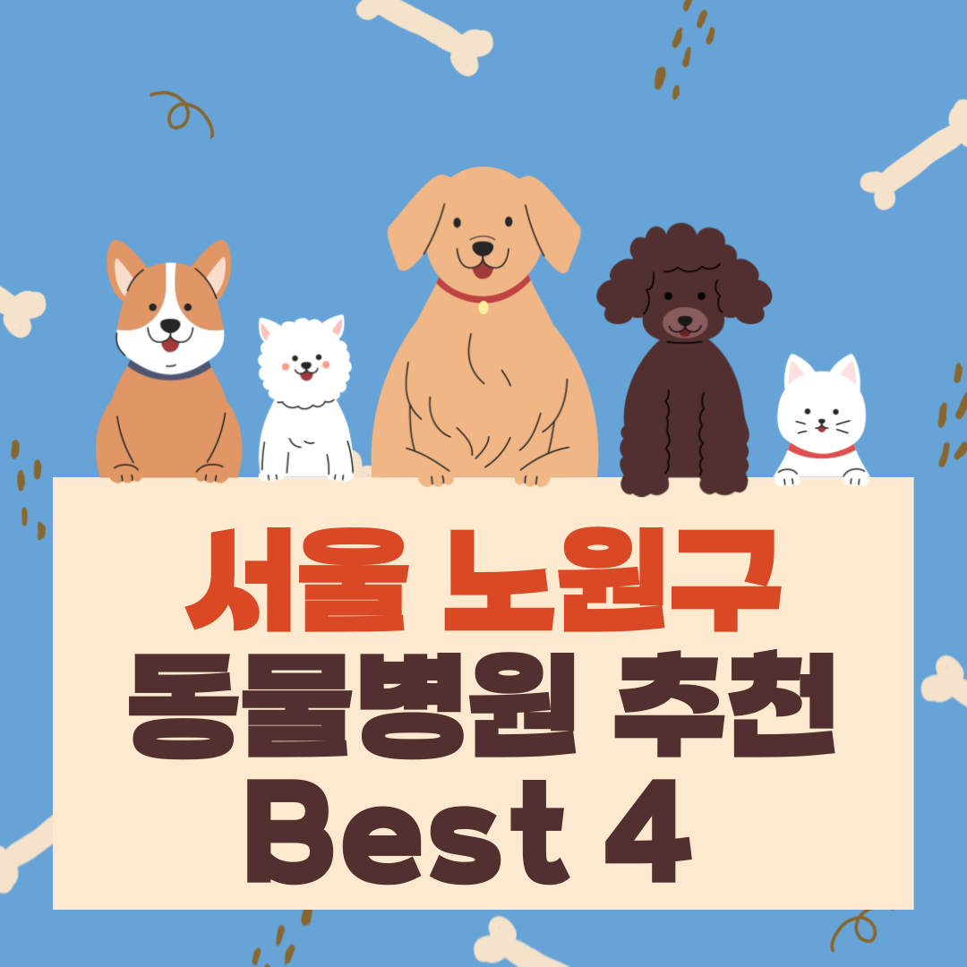 서울 노원구 동물병원 추천