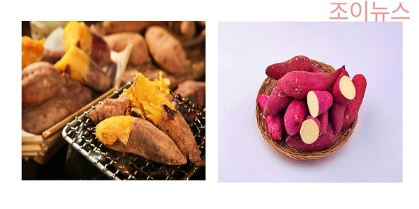 식이섬유가 많은 고구마