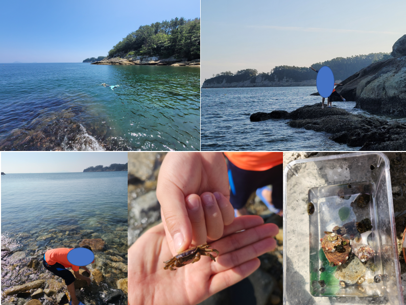 등너머민박-수영-채집