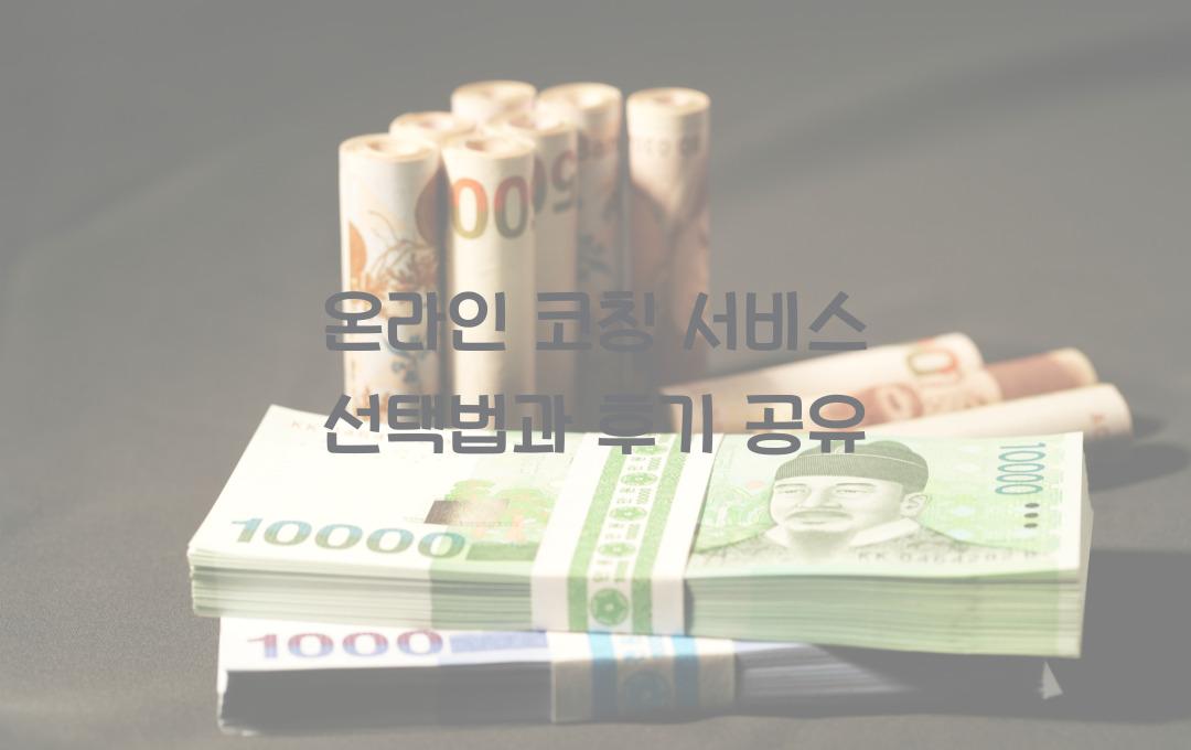 온라인 코칭 서비스 선택법과 후기