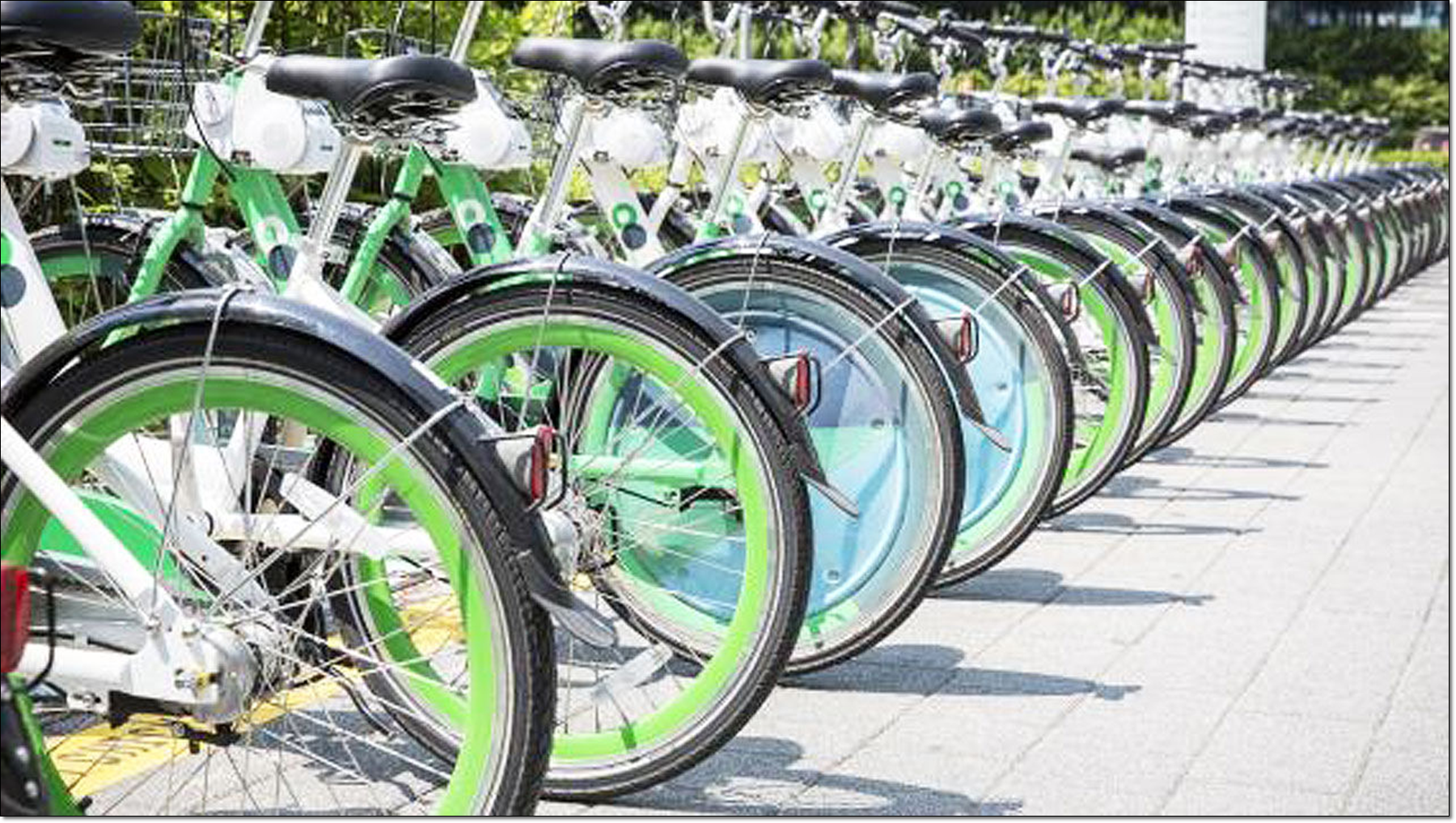 서울시 따릉이 보험적용 범위