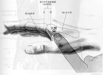 수양명대장경-삼간혈