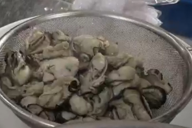 통영 굴