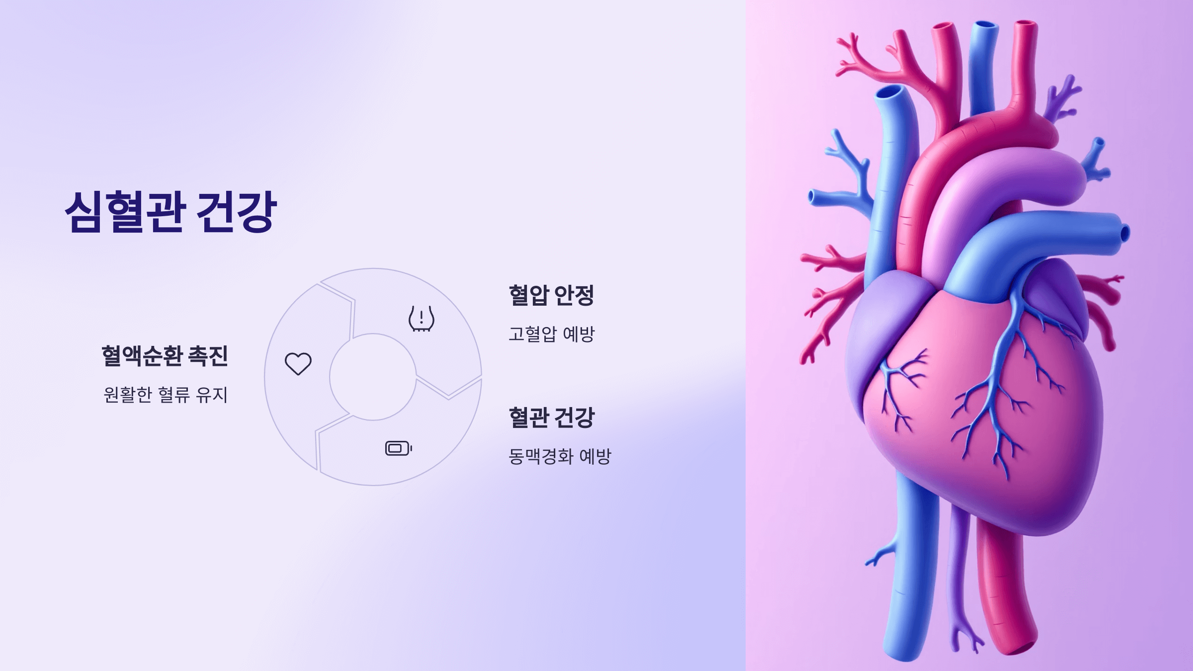 오디 사진입니다.