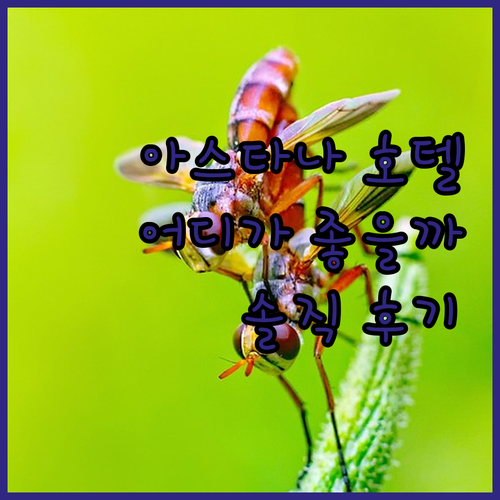 아스타나 호텔 어디가 좋을까? 인기 ..