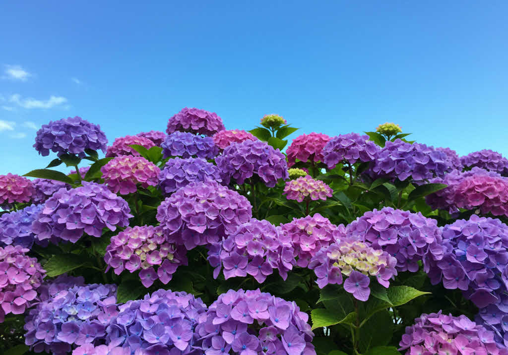 기초연금, 나도 받을 수 있을까? 소득 기준과 계산법