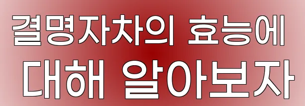 결명자차의 효능에 대해 알아보자