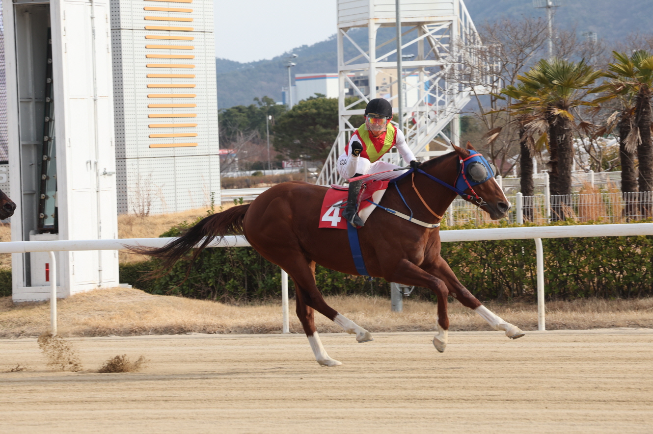 부산일보배 대상경주 2연패에 성공한 빈체로카발로와 조재로 기수