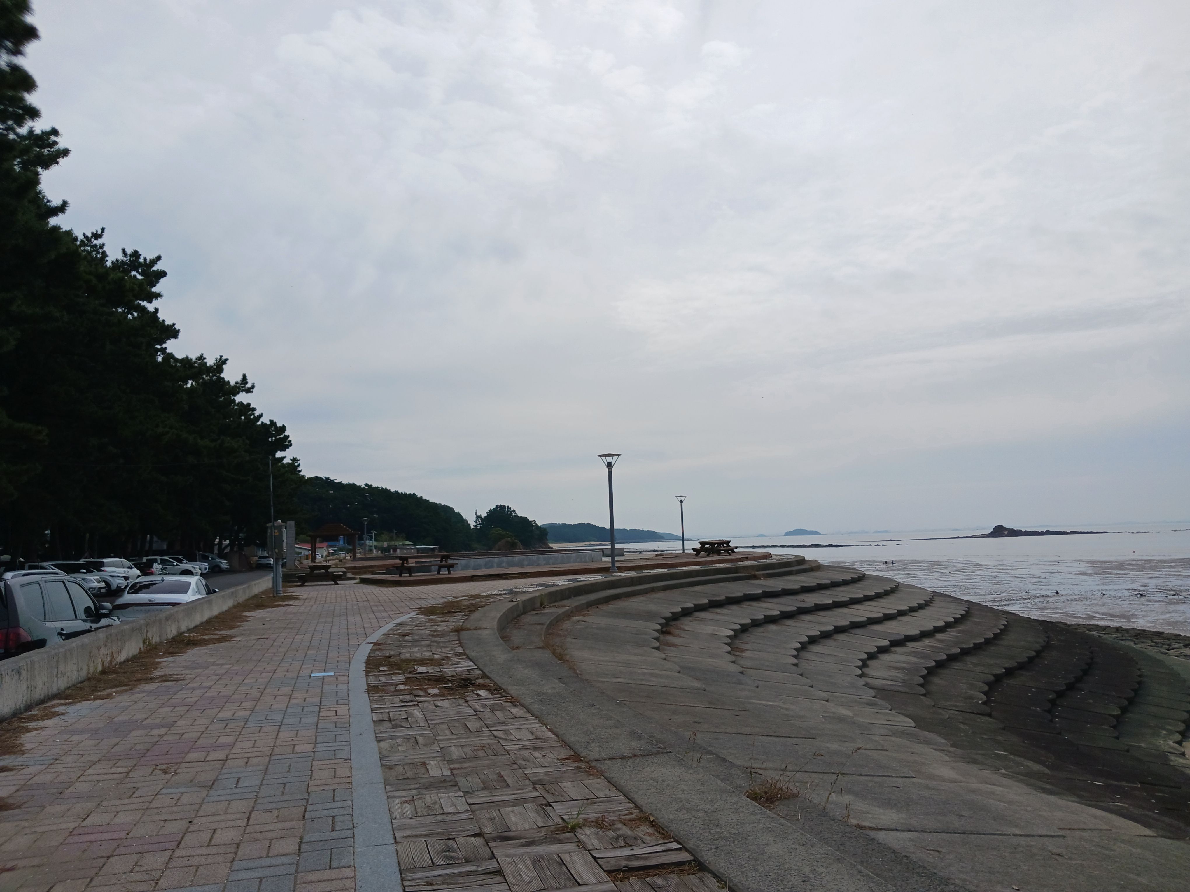 서천갯벌