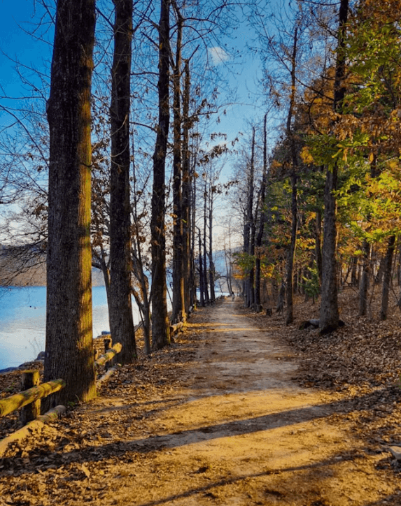 서울 근교 당일치기 기차여행 BEST 5