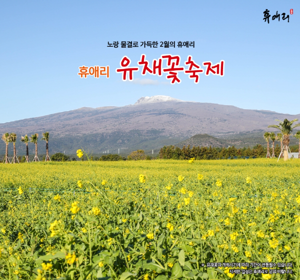 2023년 3월 축제