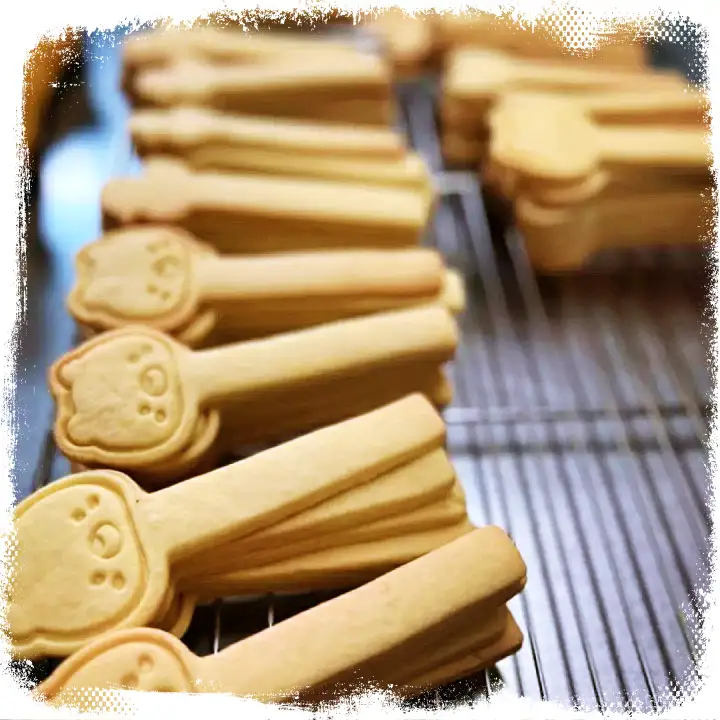 진심 가득 건강 담은 맛 을지로 맛집 추천 생방송투데이 파블로바 케이크 디저트 오늘방송 먹킷리스트