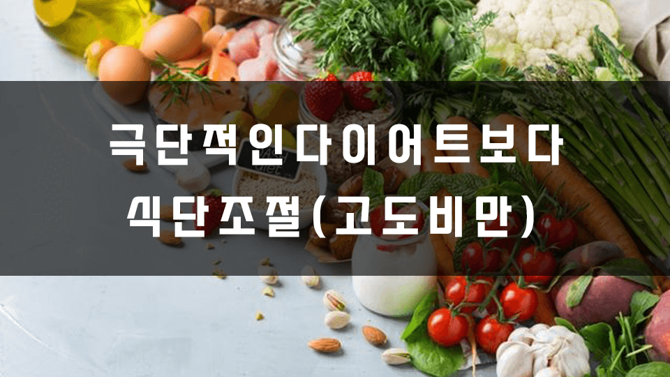 고도비만-극단적인-다이어트보다-식단조절-중요성