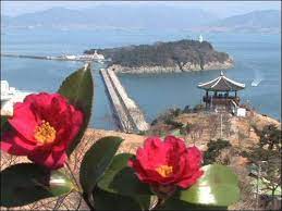 강진 백련사 동백축제 기본일정과 프로그램 소개