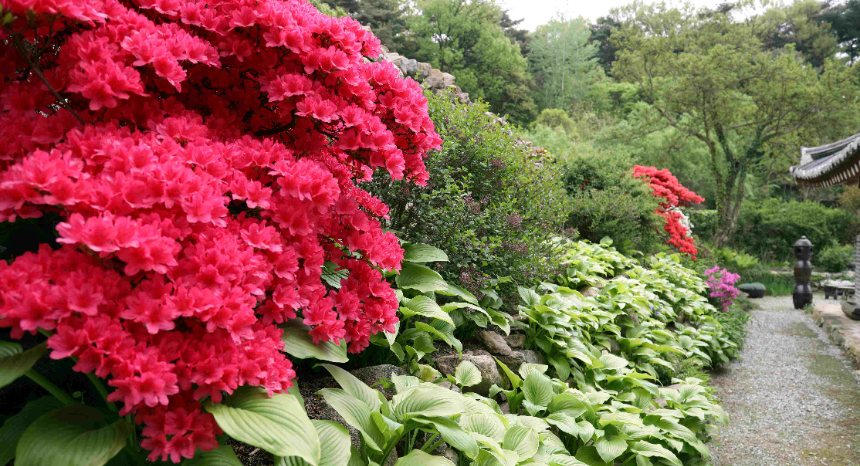 특색 있고 아름다운 민간 정원 30선 추천 여행 - 17. 아산 이화재