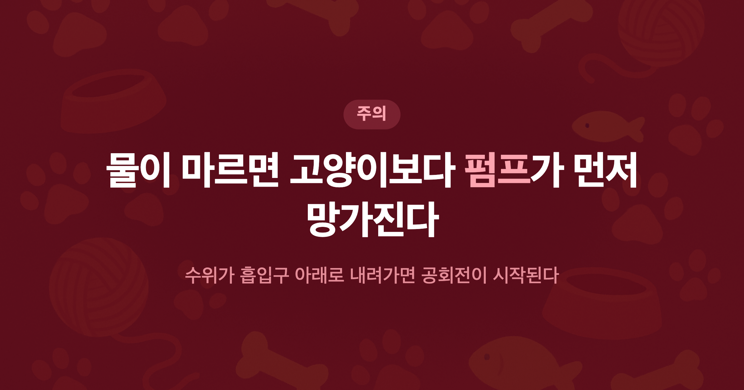 물이 마르면 고양이보다 펌프가 먼저 망가진다 수위가 흡입구 아래로 내려가면 공회전이 시작된다