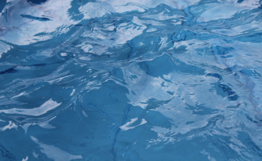 수영을 위한 올바른 식사 계획