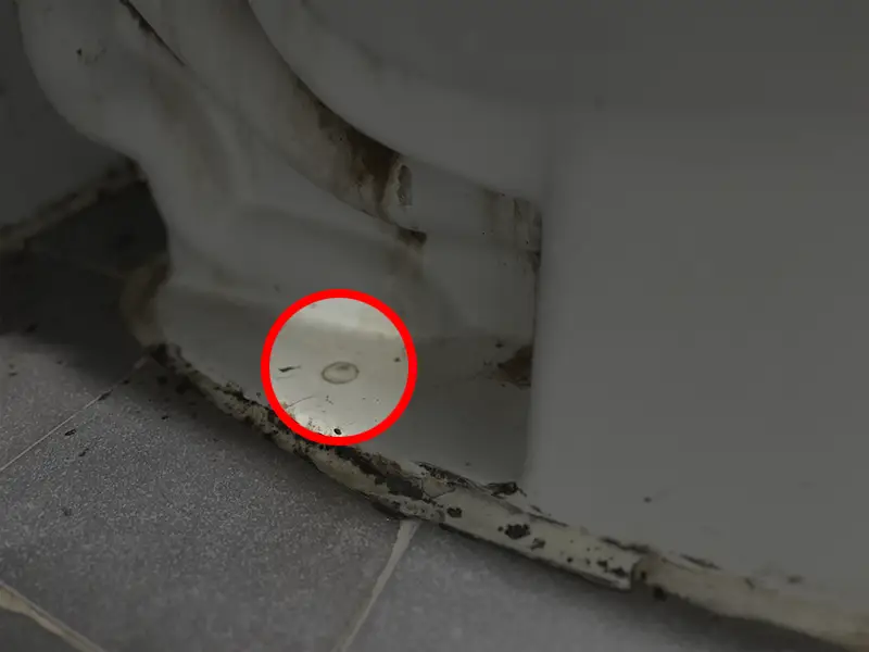 후렌지가 설치되지 않은 경우 양변기 바닥면 볼트 역시 누락됨