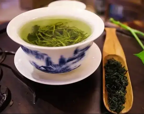 장폐색증-좋은음식-녹차